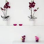 Apartament Kiza *